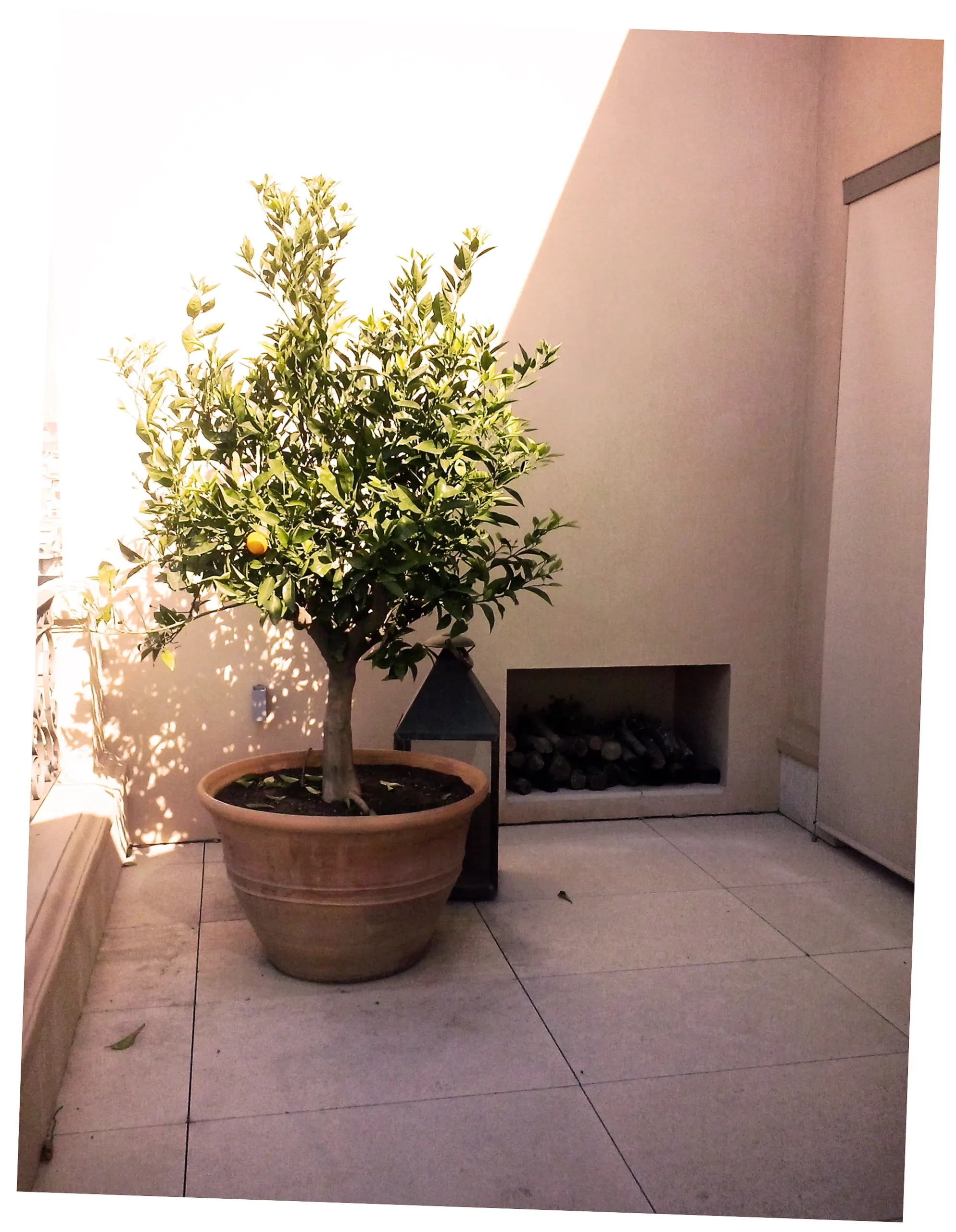 Pau Casals Pau Casals Sosters Estudio