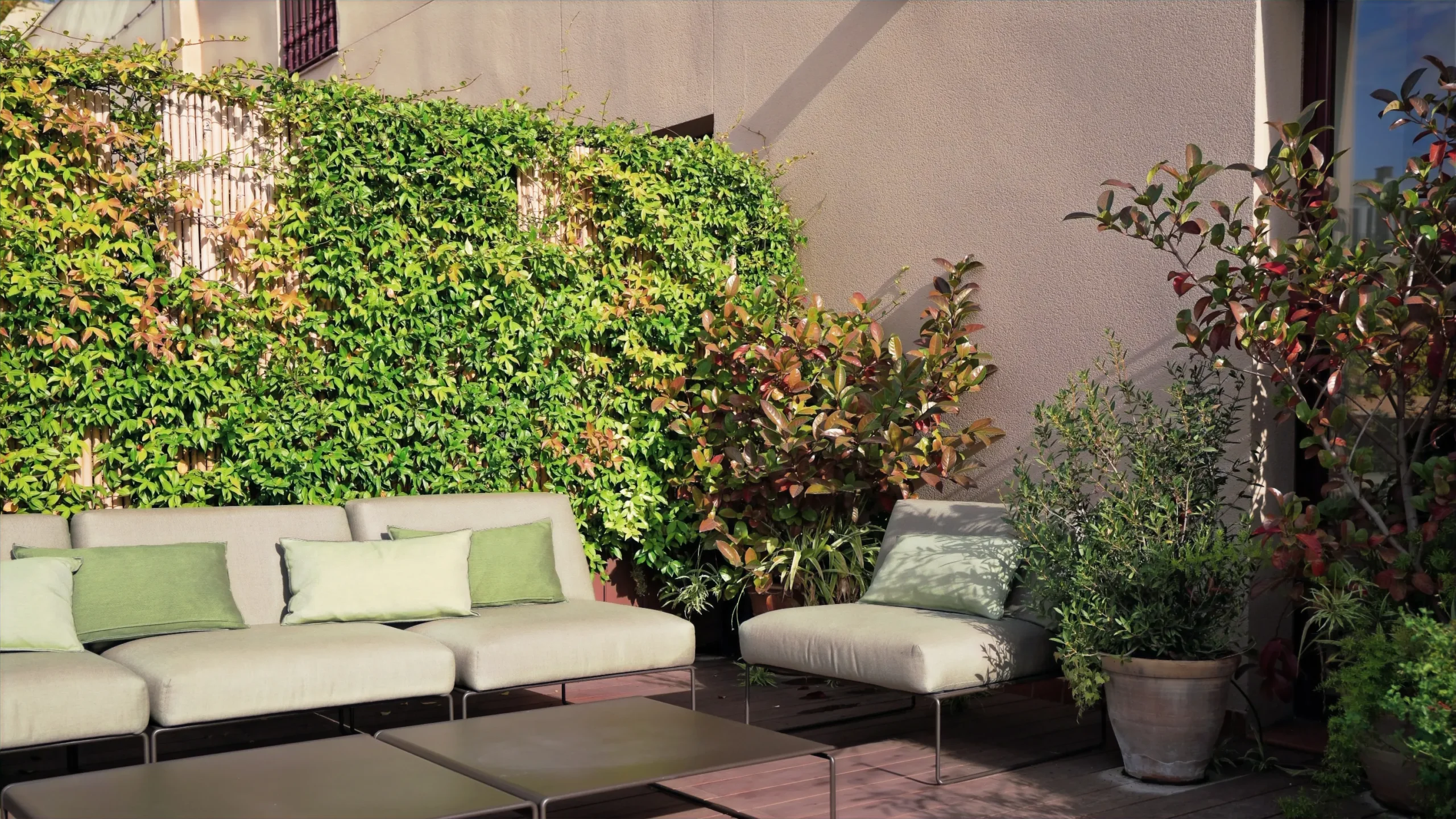 Oficines Casa Pich Oficines Casa Pich Sosters Estudio